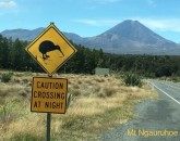 Un Tour Di 50 Giorni E 7.500 Km In Nuova Zelanda  foto 4